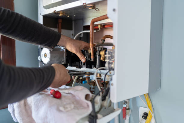 Best Commercial Plumbing Services  in Afton, WY